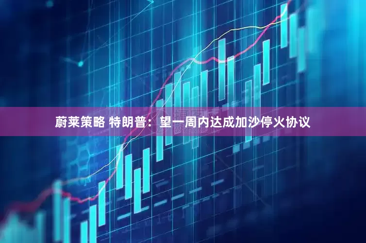 蔚莱策略 特朗普：望一周内达成加沙停火协议