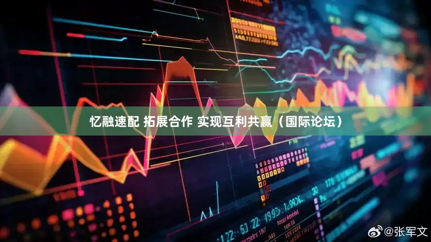 忆融速配 拓展合作 实现互利共赢（国际论坛）